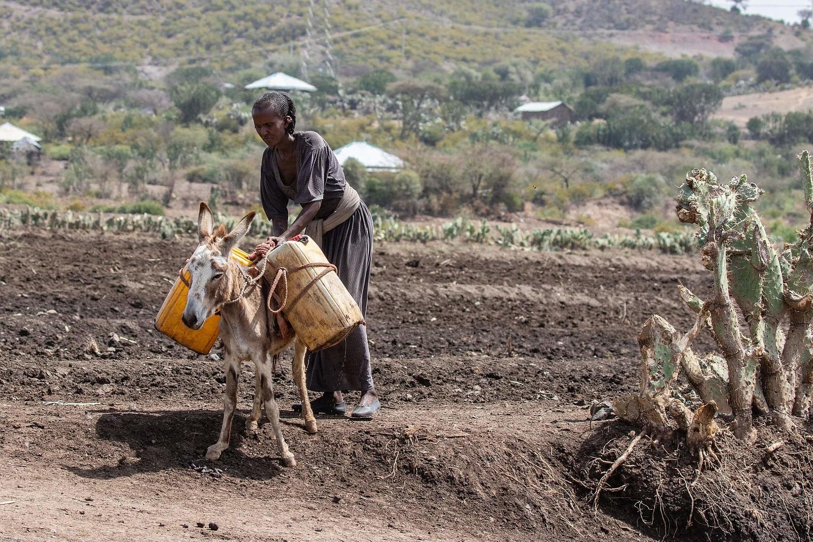 etiopia-4117617_1920_D Mz Pixabay