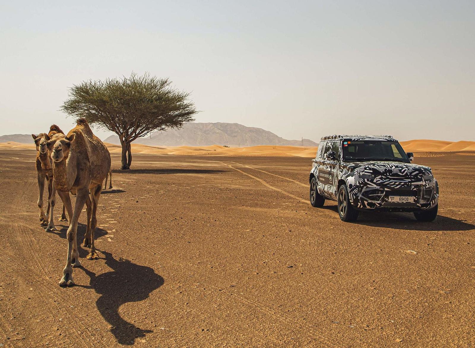 Land Rover Defender_2019 (15)