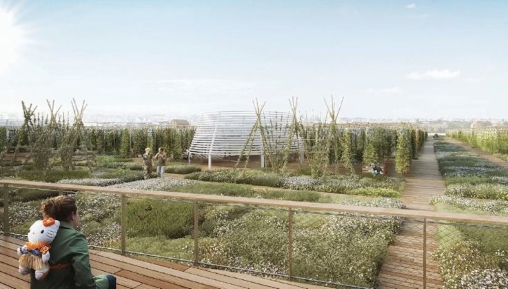 Urban-farm-in-Paris-on-rooftop-2-737×420