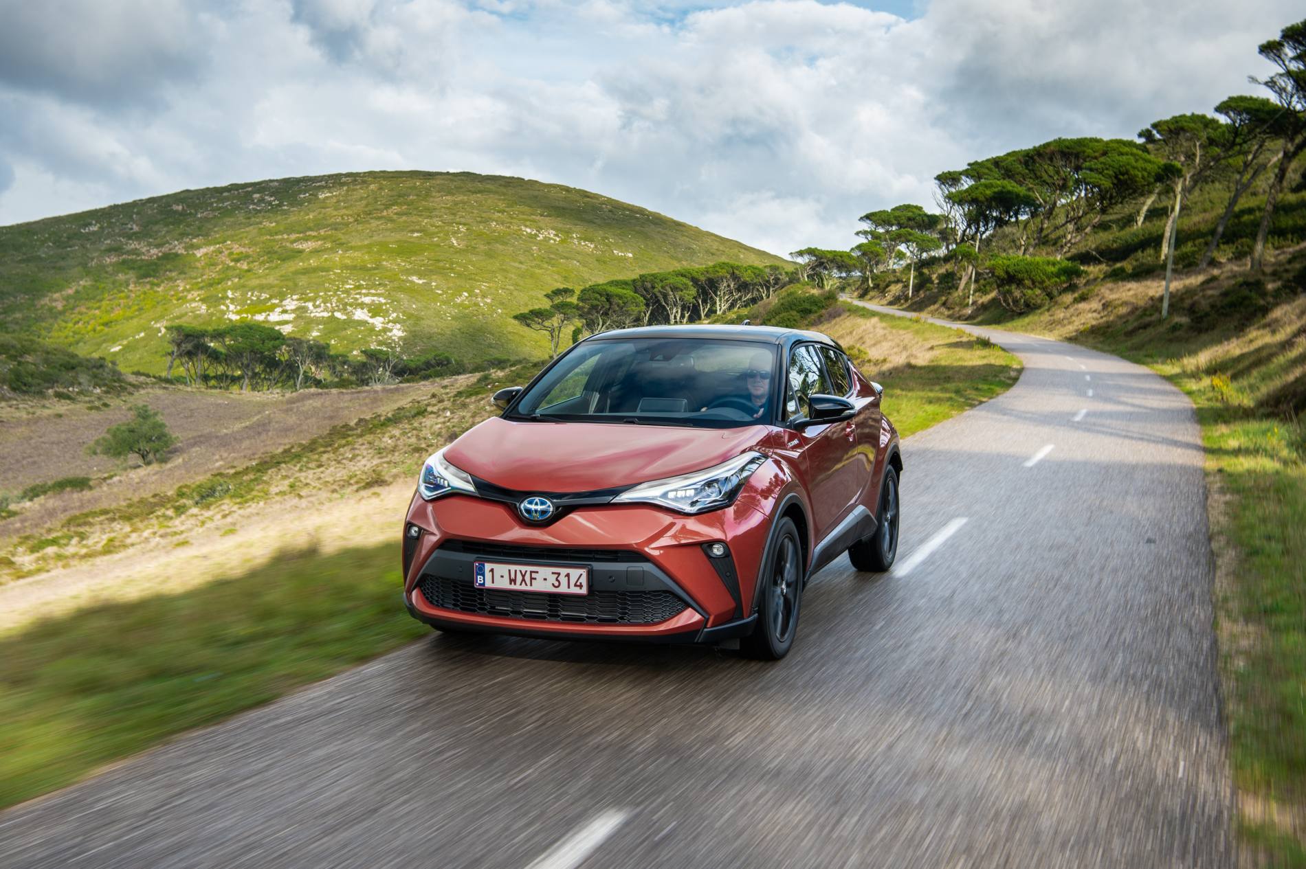 C-HR_Orange_2020_11