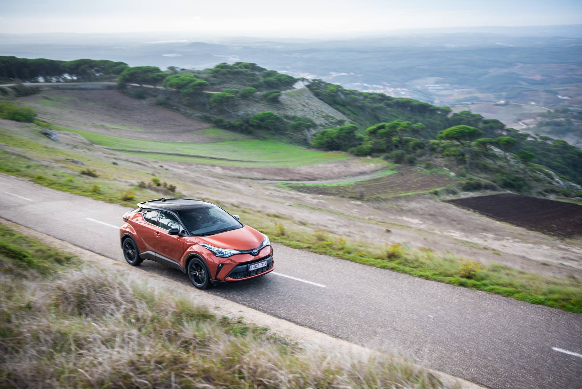 C-HR_Orange_2020_14