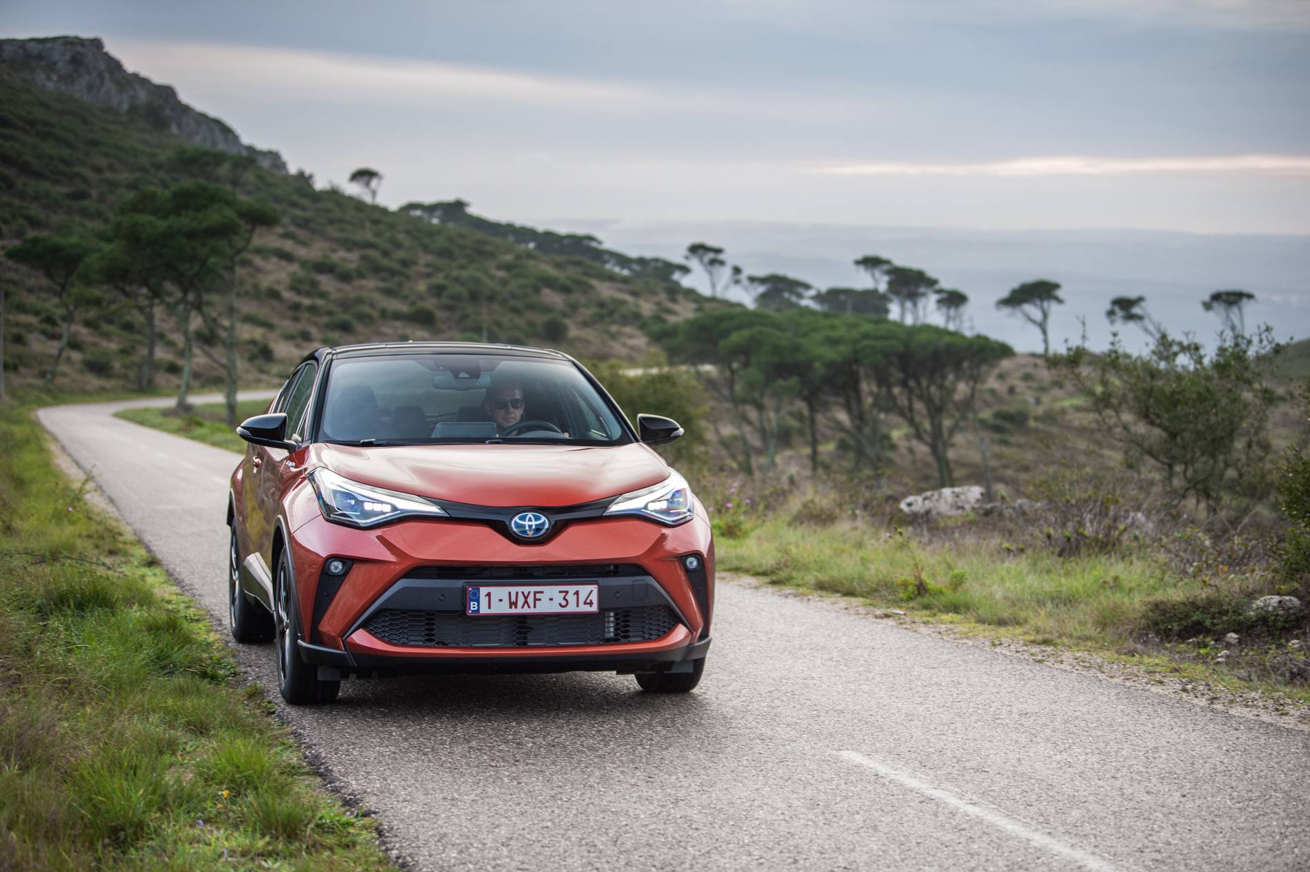 C-HR_Orange_2020_16