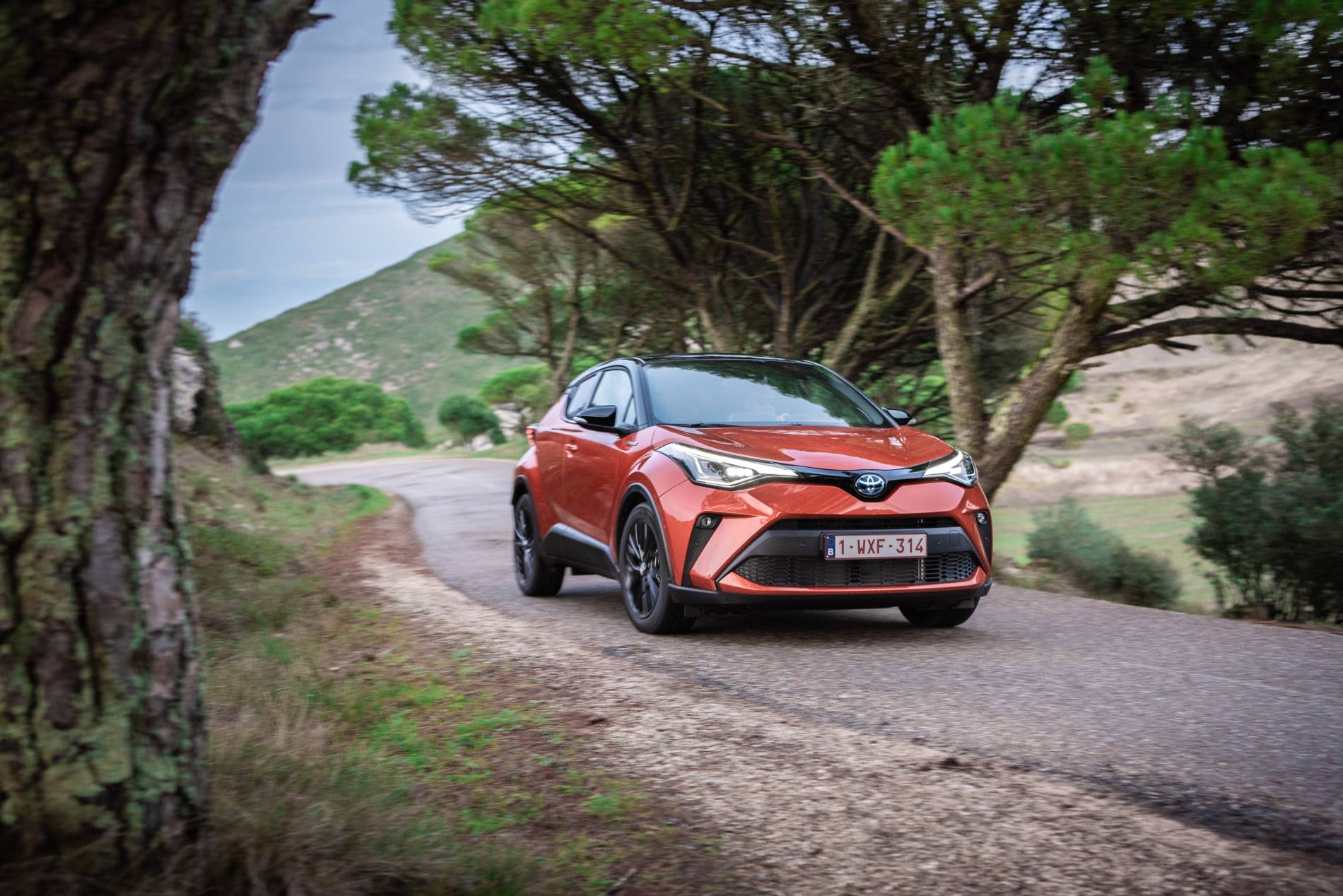 C-HR_Orange_2020_19