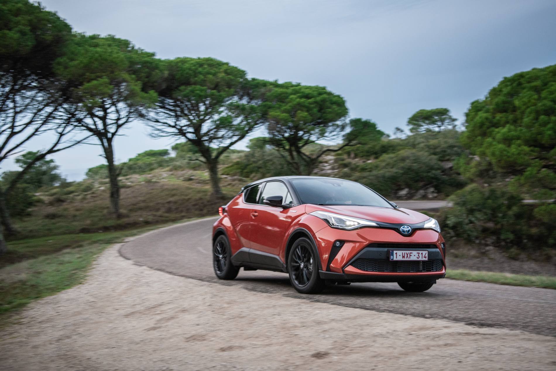 C-HR_Orange_2020_22