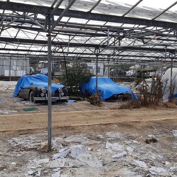 BG-greenhouse-4