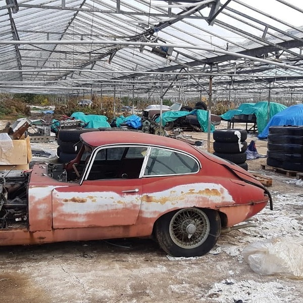 BG-greenhouse-5