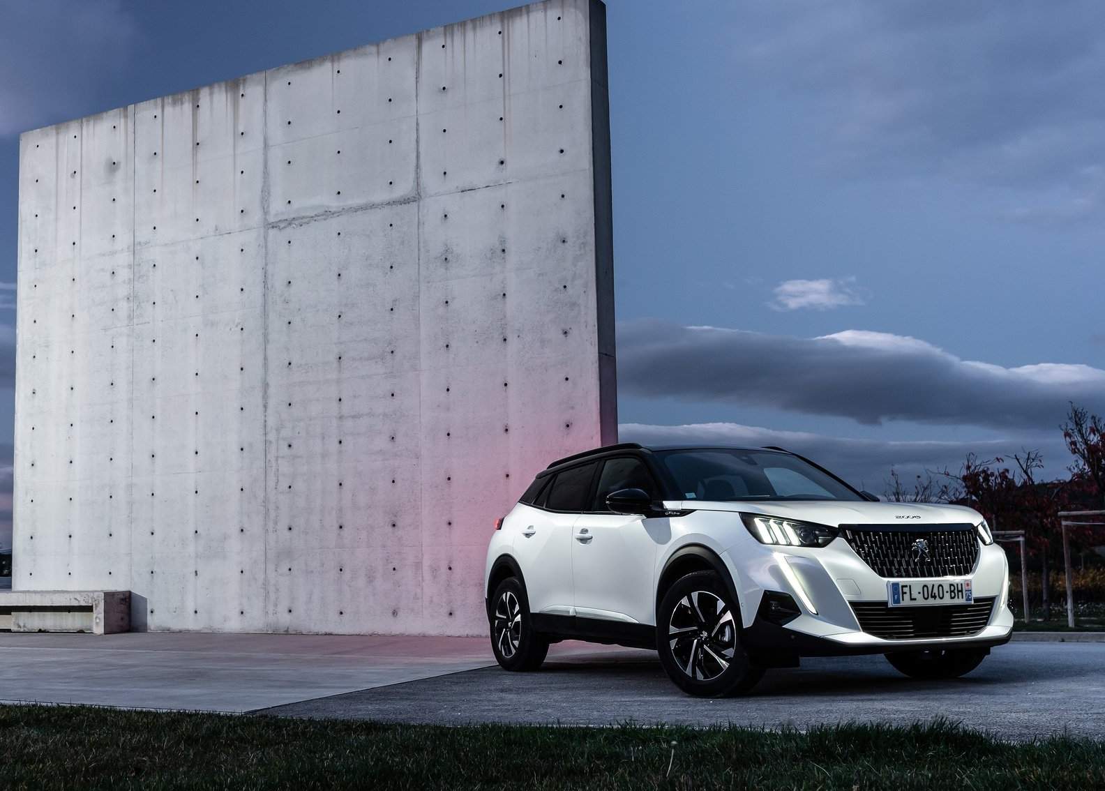 Peugeot-2008-202_ (1)