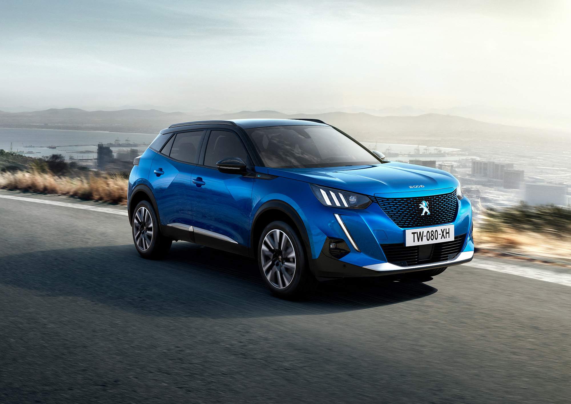 PEUGEOT_CPMARK01_2019_2008_000_DI803_NF01