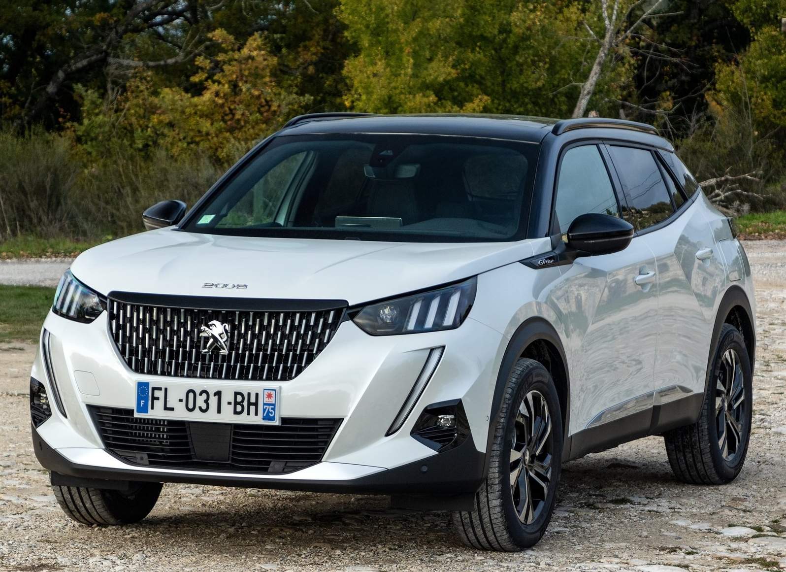 Peugeot-2008-202_ (5)