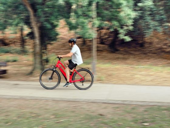 fotor_11-560×420