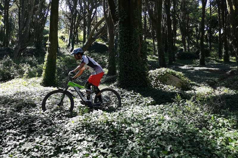 Cube Stereo Hybrid 160 Race