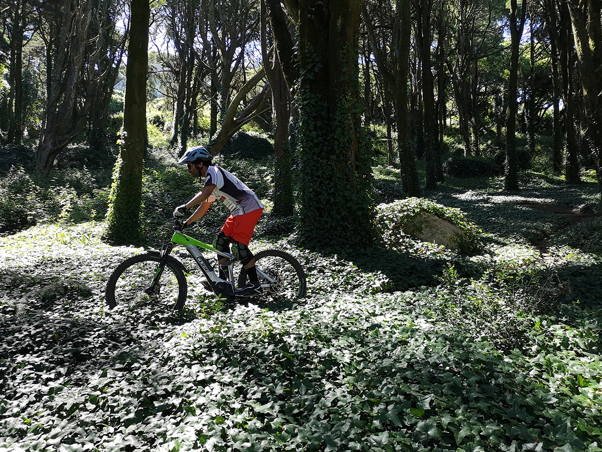 Cube Stereo Hybrid 160 Race