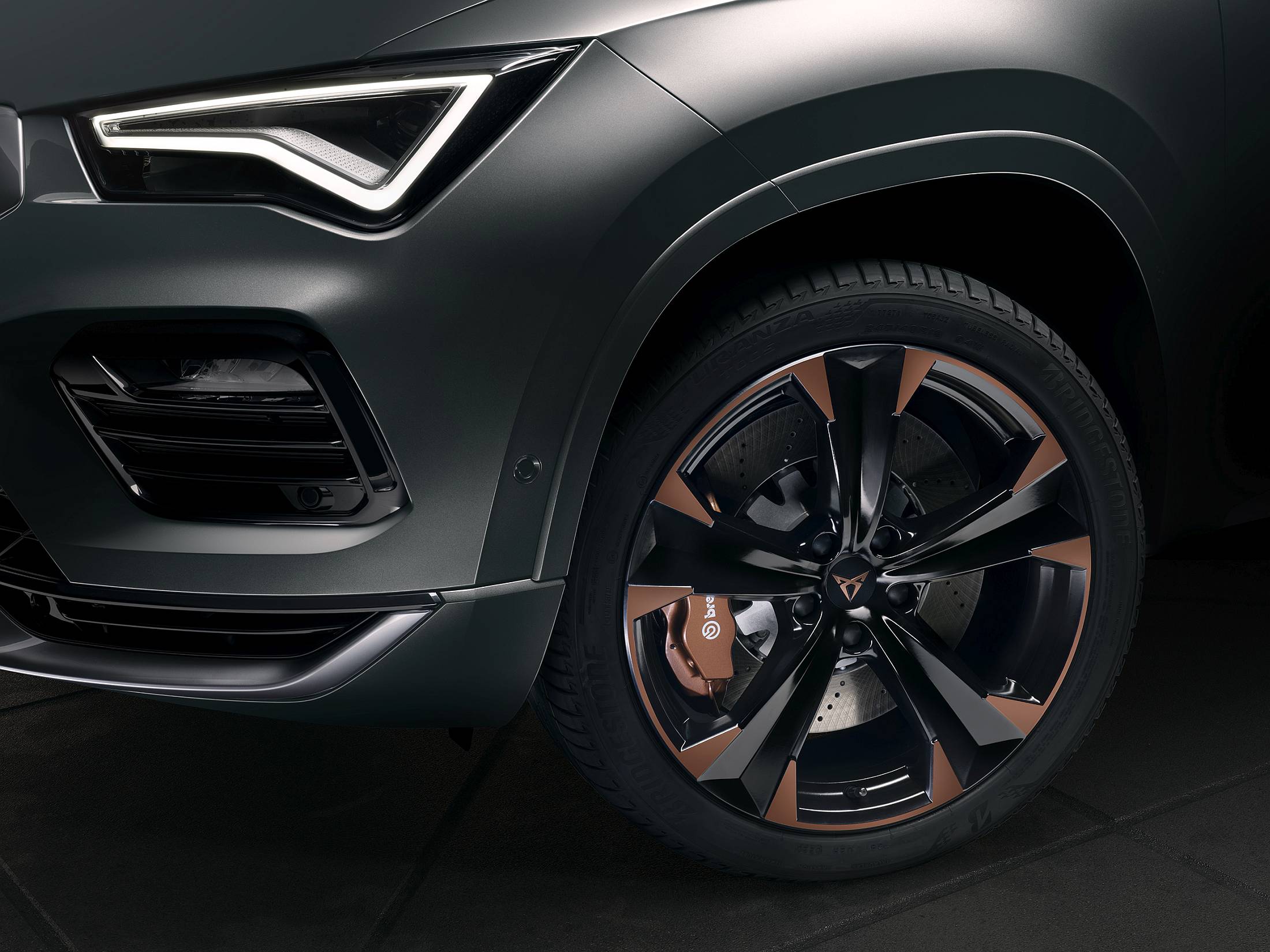 009CUPRA_Detalle_1_LowRes