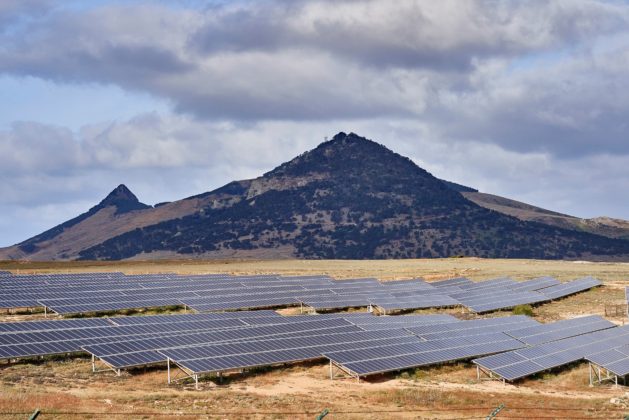 21226196_2019_-_Porto_Santo_ecosystem-629×420