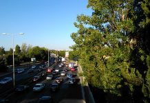 Nenhum condutor ficou sem carta de condução no primeiro ano por pontos