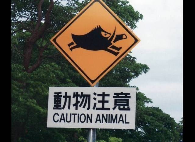 funny-traffic-signs-that-include-animals3