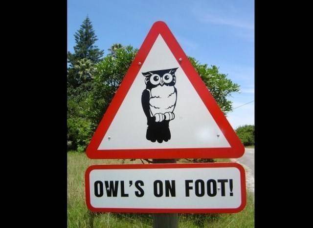 funny-traffic-signs-that-include-animals7