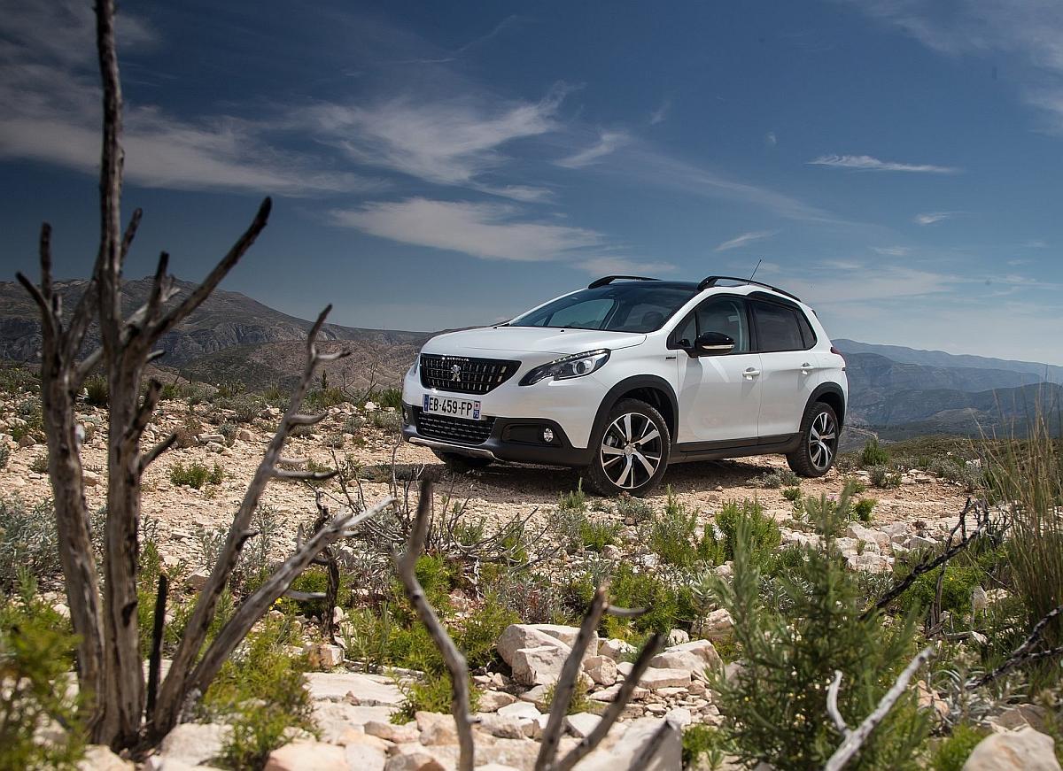 peugeot-2008-2017-1600-13