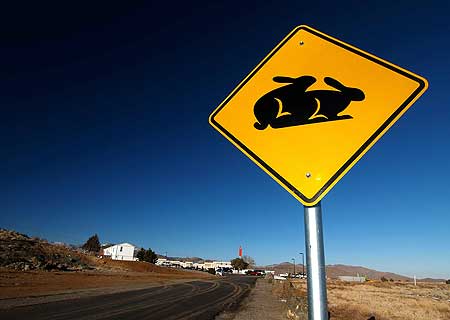 roadsigns11_crazy_road_signs-s450x320-237565