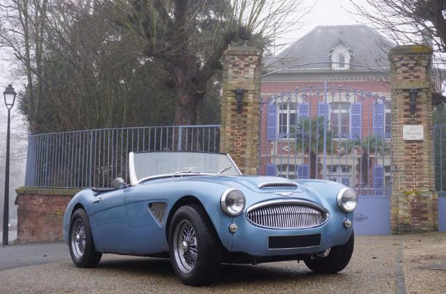 austin-healey-1