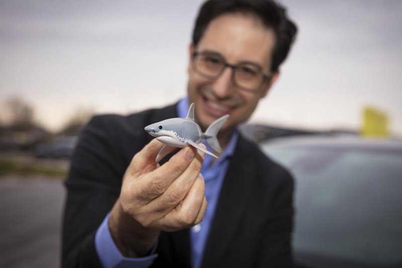 Shark Attack at Opel