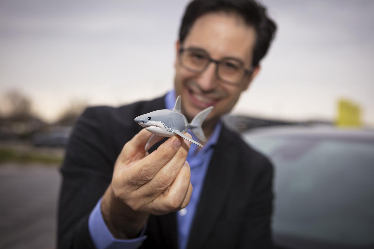 Shark Attack at Opel