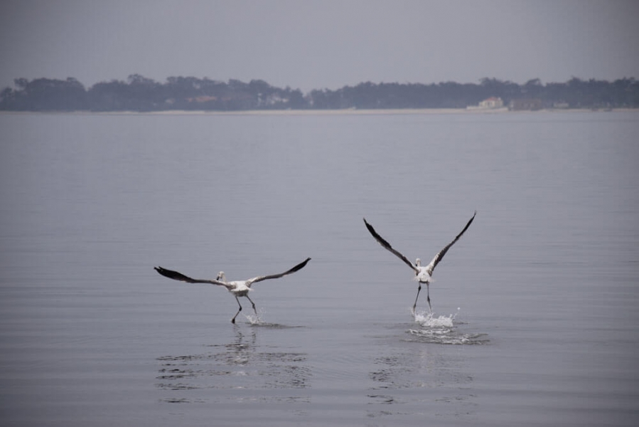 dsc_0370-960×600