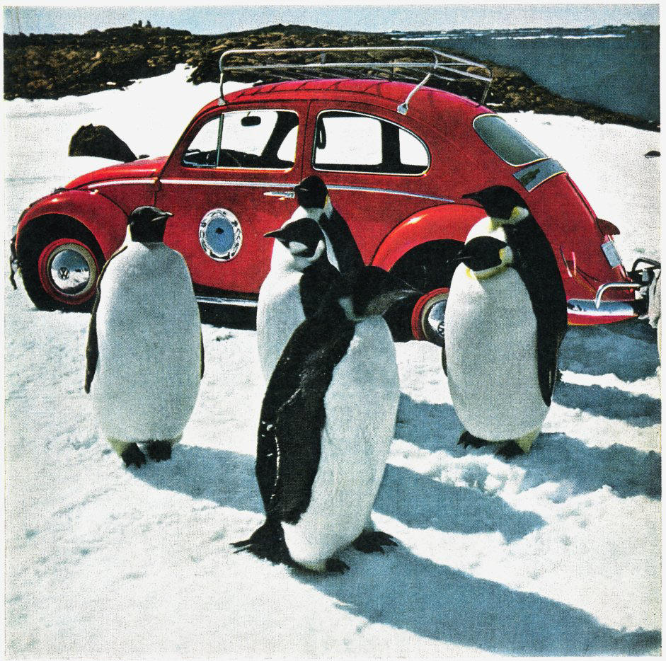 polar-bug-when-the-volkswagen-beetle-conquered-antarctica-1476934542639