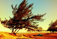 Vento forte: Reduza os riscos ao volante