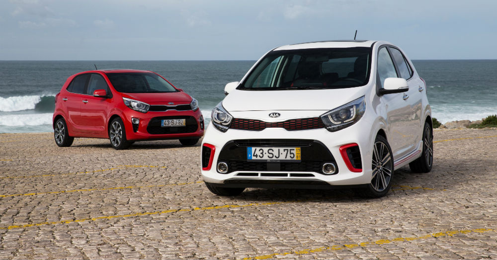 7956-all-newpicanto-1