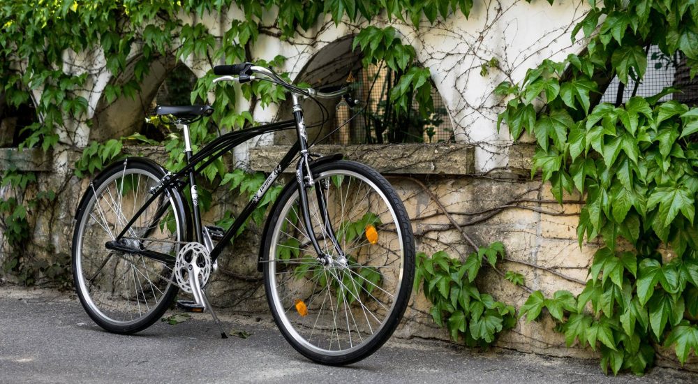 18278746_10155034847656609_8448967656115037467_o