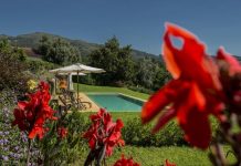 O turismo rural entre as vinhas e bosques de Ponte de Lima