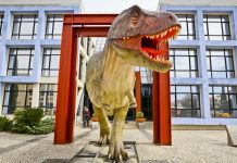 Lourinhã vai ter um ninho de dinossauros gigante feito de chocolate