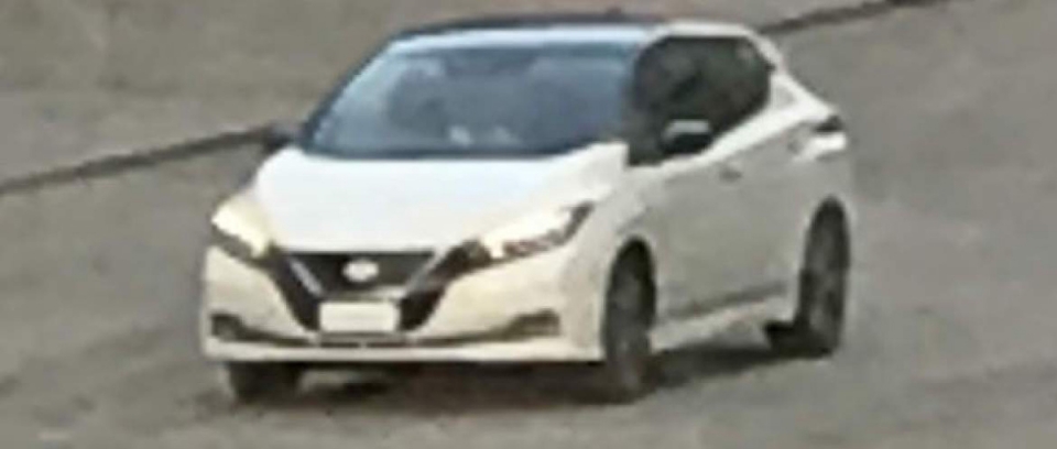 Nissan-Leaf-Undisguised-5-960×600