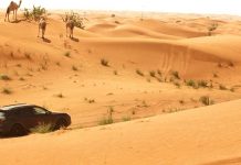 Novo Porsche Cayenne luta contra a natureza e vence