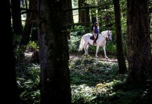 Este piquenique custa 1500 euros. Saiba porquê