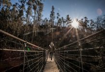 Rio Paiva vai ter uma ponte transparente a 150 metros de altura