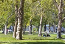 Os espaços públicos de Lisboa vão estar em festa em setembro