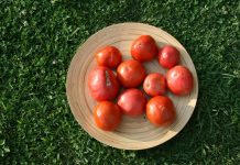 O tomate coração de boi à prova na Capela
