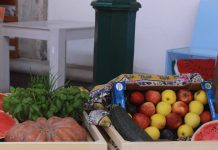 A Feira dos Frutos está de regresso às Caldas da Rainha