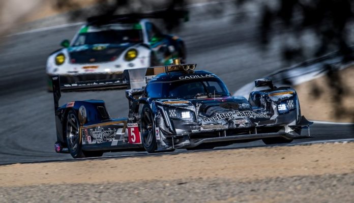 joaobarbosalagunaseca6509-f7b8b444df0cc80bdf9d0b537fd5d8a4bd56eff7