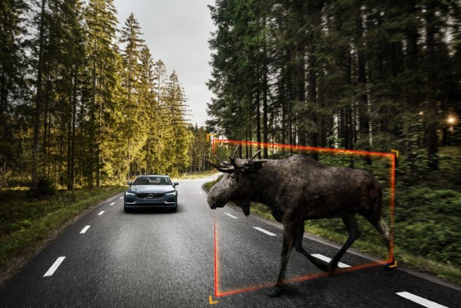 170159_Exterior_Large_Animal_Detection_Volvo_S90_1-960×600