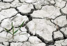 Alterações climáticas: mais do que uma ameaça, uma oportunidade