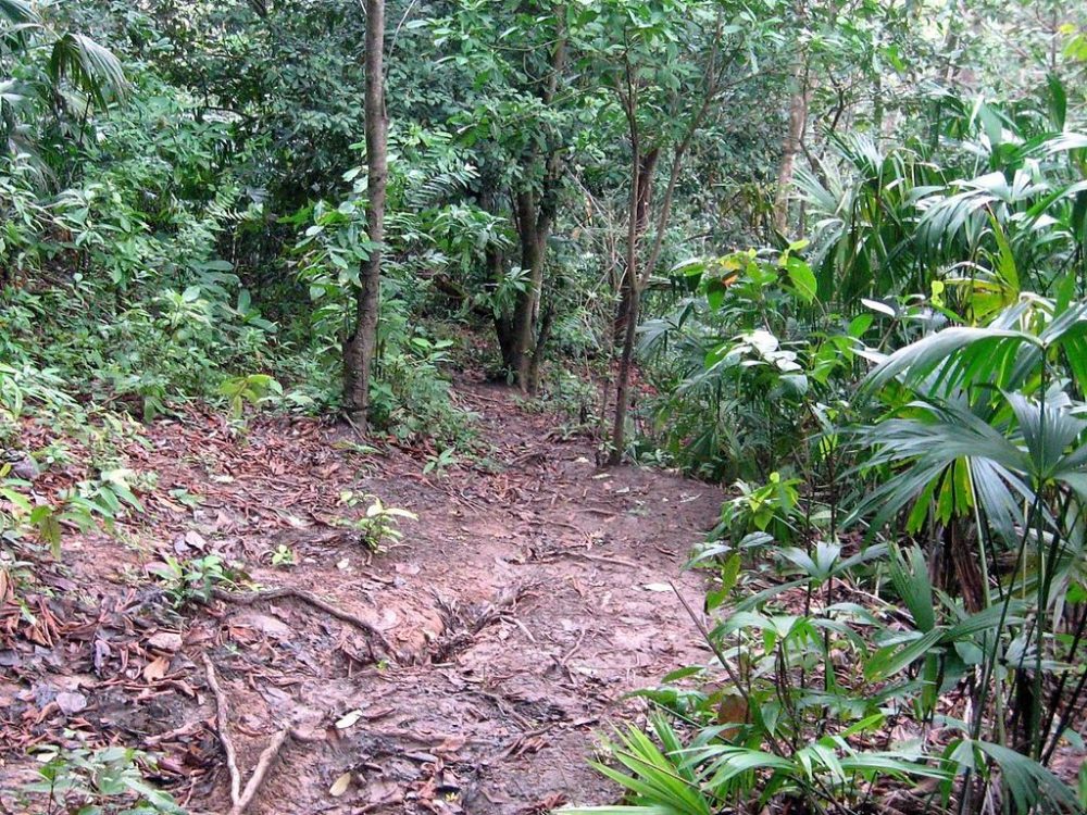 DARIEN GAP