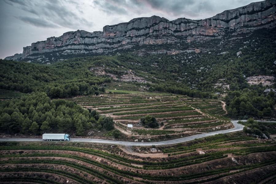 VolvoFH_vinyards_mountains_Spain-960×600