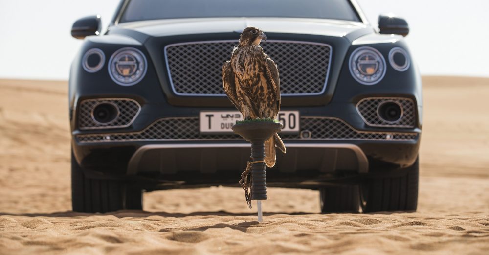 Bentley Bentayga Falconry by Mulliner (18)