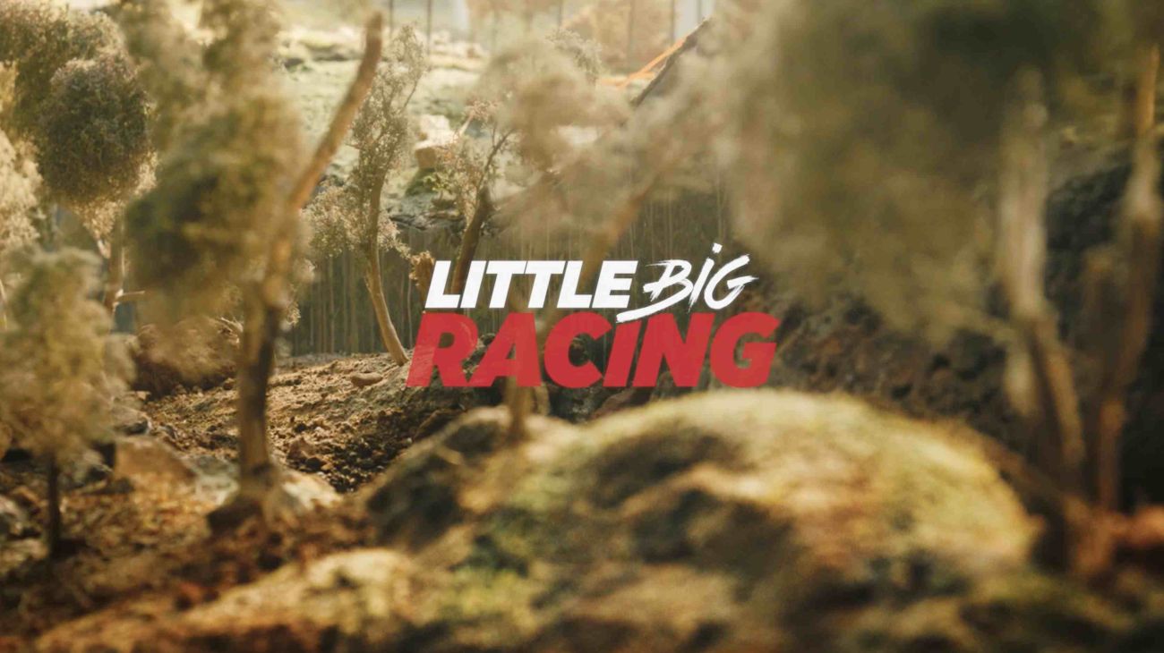 CITROËN-C3-WRC-Little-Big-Racing-5