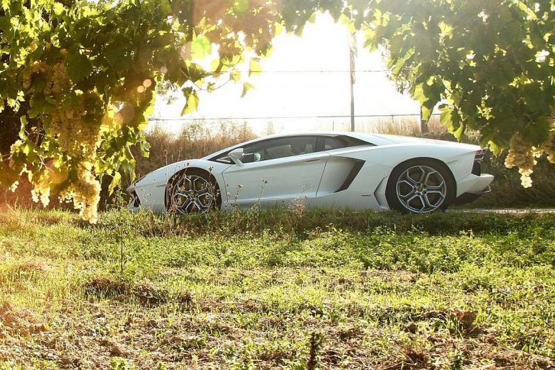 Lamborghini-Aventador_LP700-4-2012-1600-05