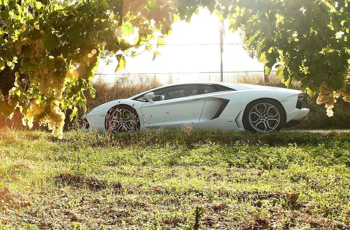 Lamborghini-Aventador_LP700-4-2012-1600-05