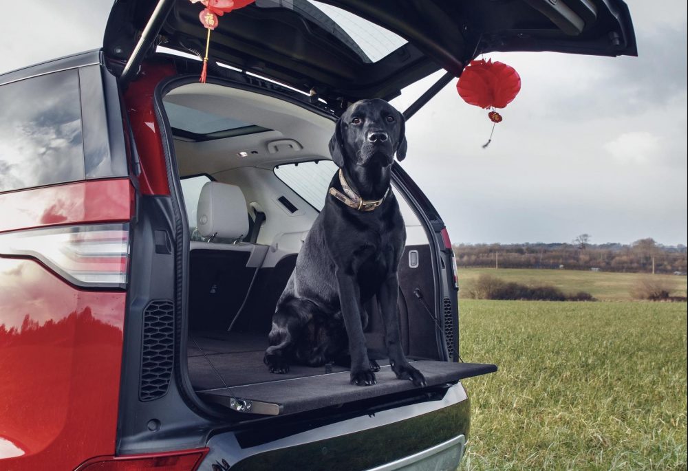 Land Rover Discovery 1